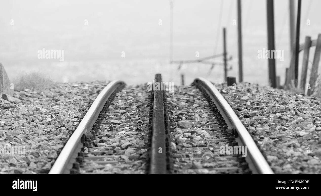 Rails of a cog railway, s/w, Stock Photo