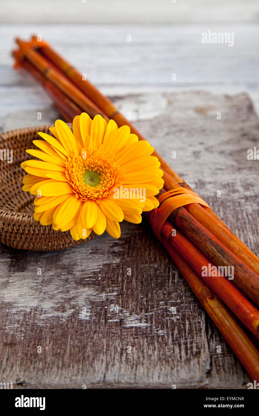 Gerbera, flower, still life, orange Stock Photo