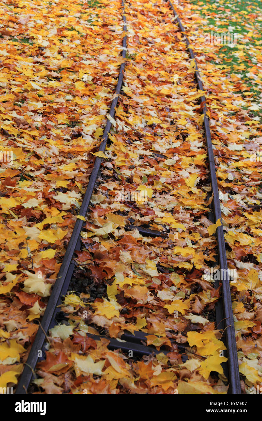 Railroad track with autumn leaves Stock Photo