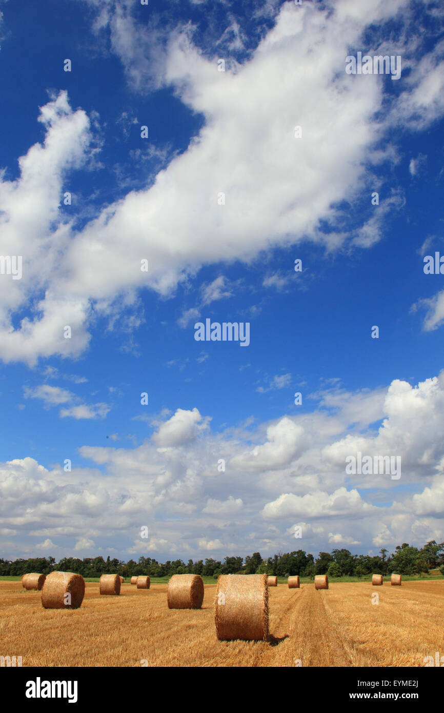 Straw bales on stubble field Stock Photo - Alamy