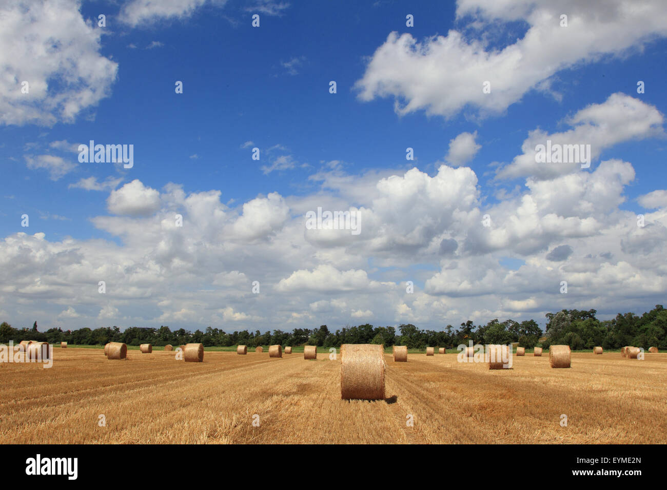 Straw bales on stubble field Stock Photo - Alamy