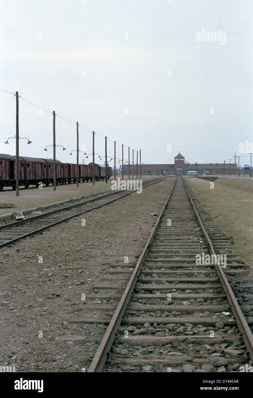 train tracks auschwitz birkenau Stock Photo