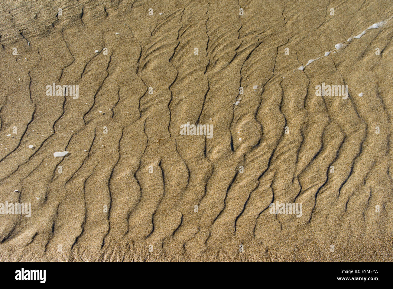 Rippled sand pattern caused by moving water Stock Photo