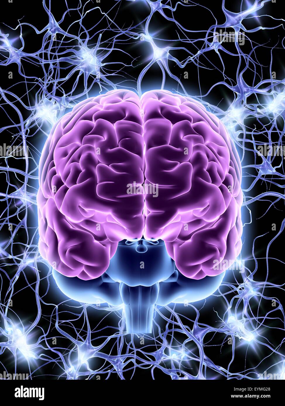 Firing neurons in the brain