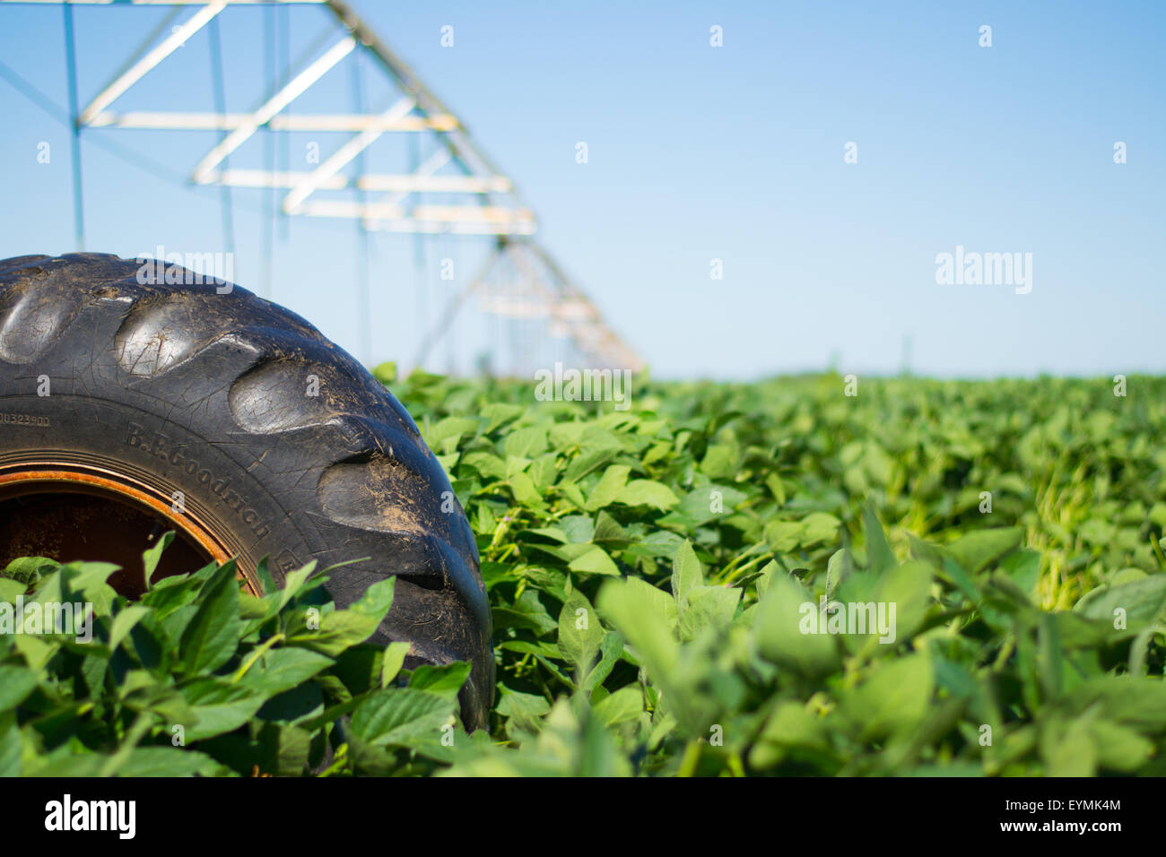 Field irrigation system Stock Photo Alamy