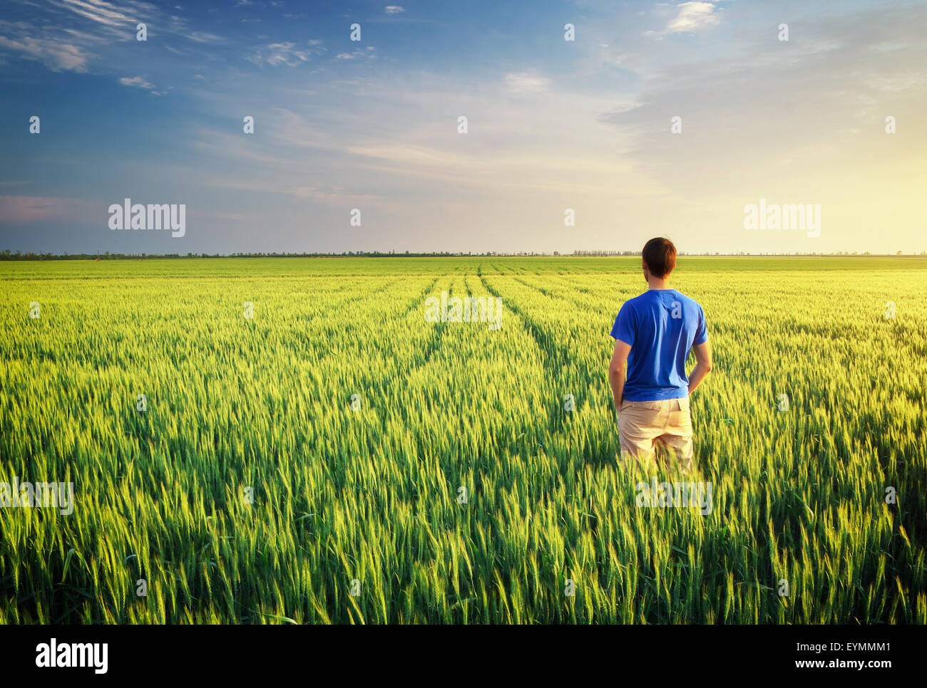 Man in meadow green meadow. Conceptual scene. Stock Photo