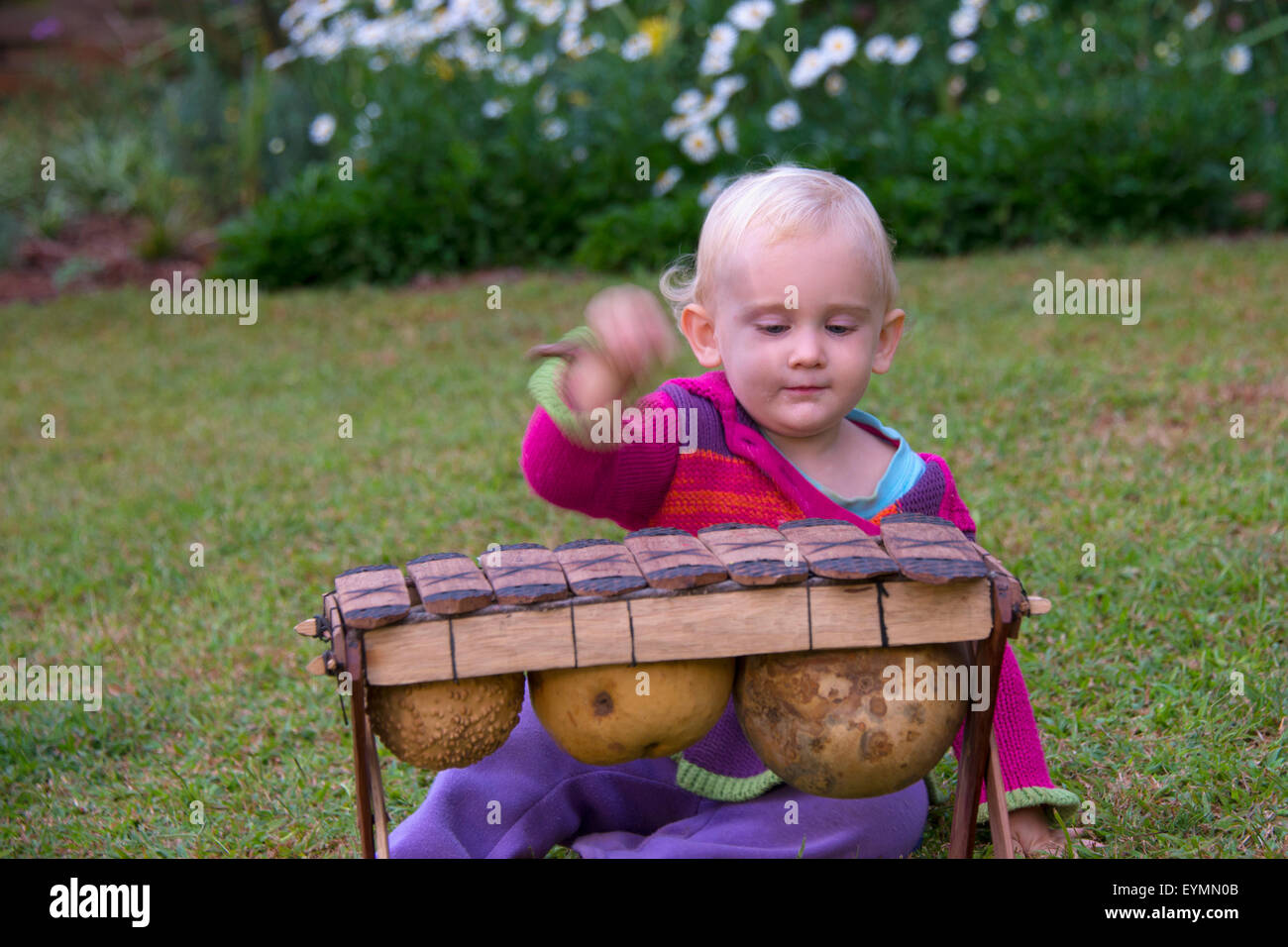Learn instrument hi-res stock photography and images - Alamy