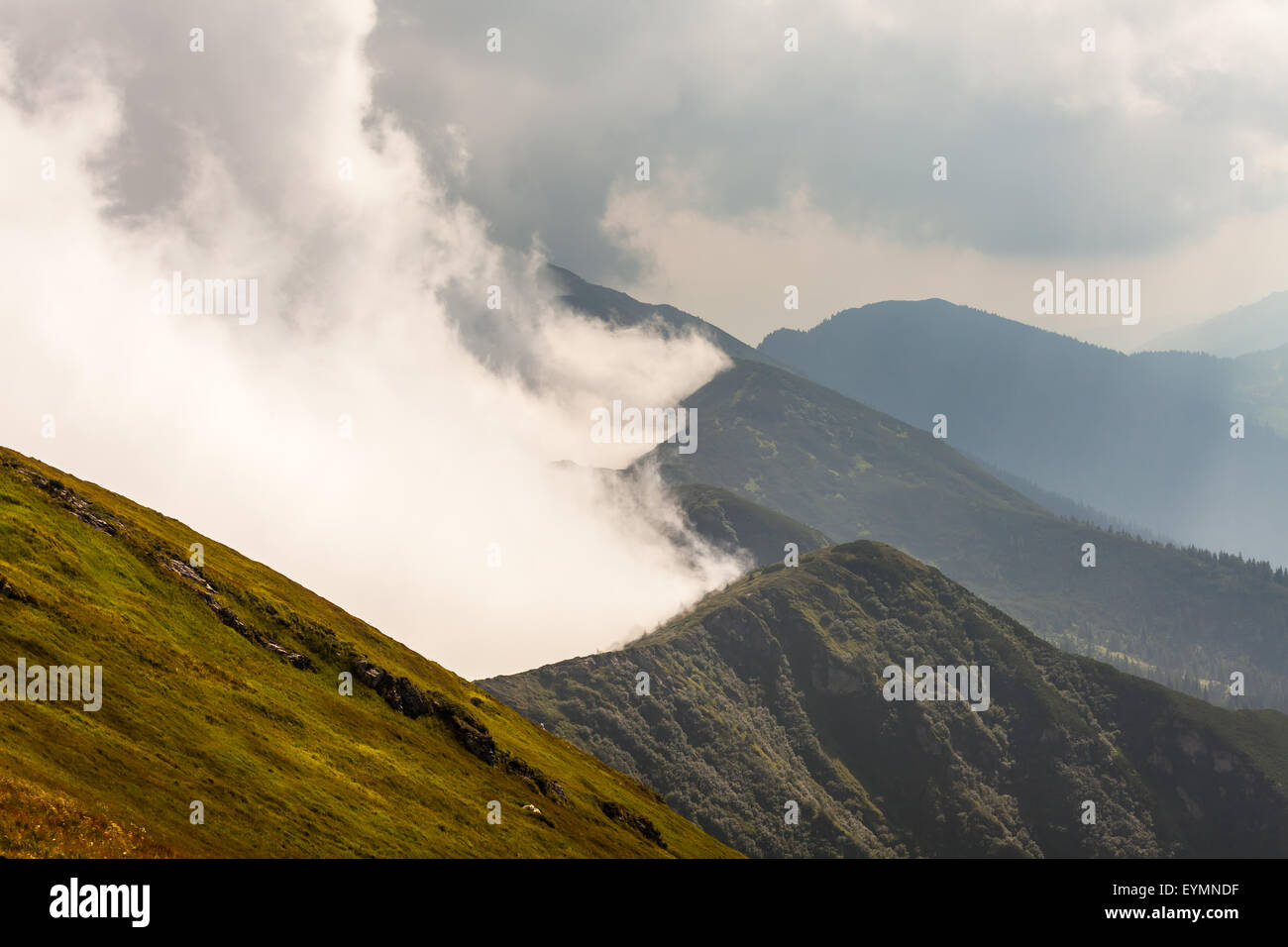 Dreamy mist enveloping a deep valley surrounded by dense forest and gentle hills