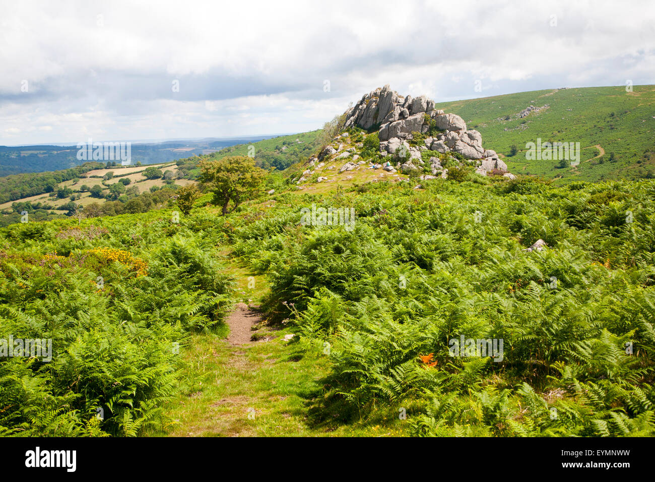 Granite upland landscape Greator Rocks, Dartmoor national park, Devon, England, UK Stock Photo