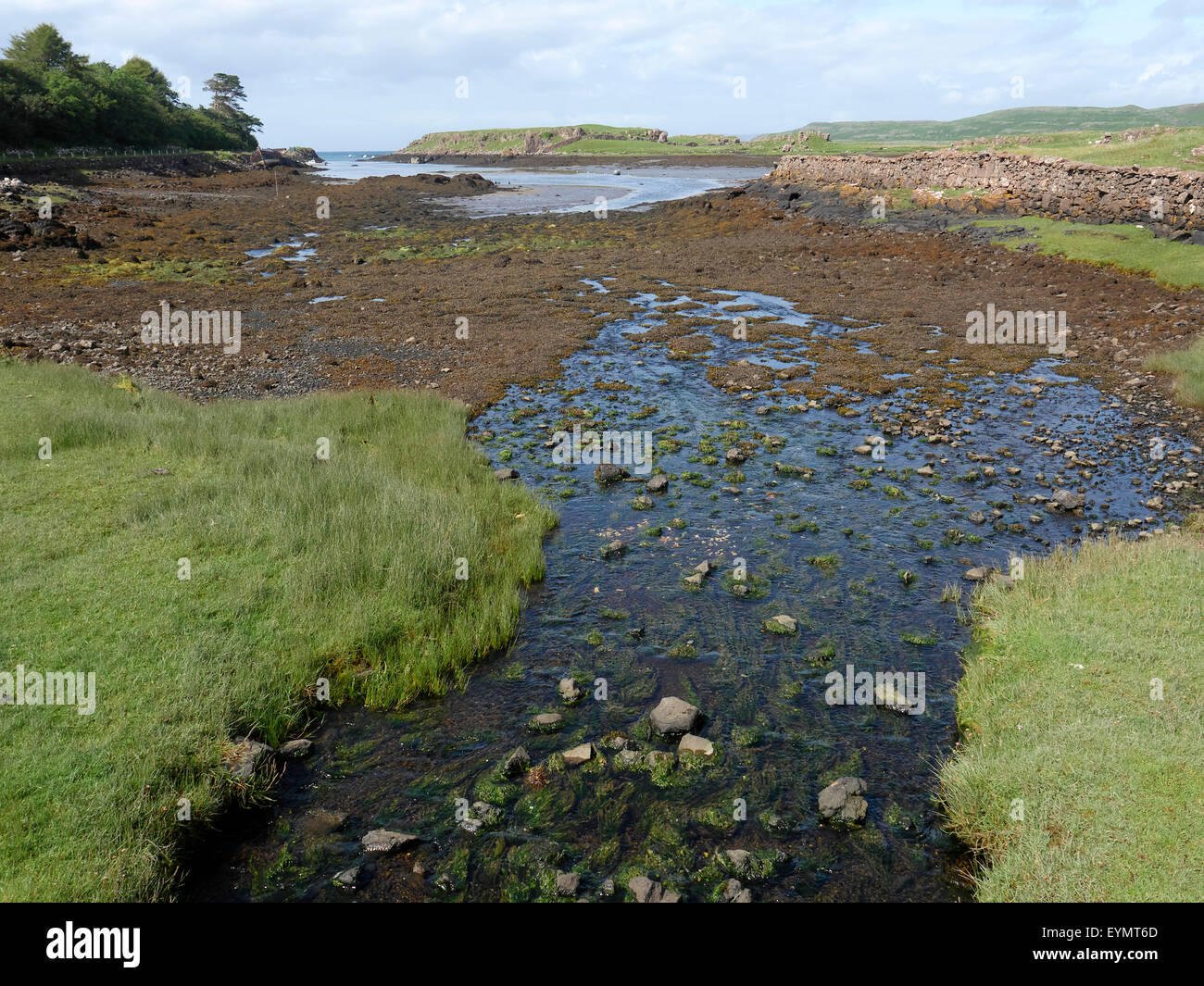 Croig estuary, Isle of Mull, Scotland, July 2015 Stock Photo