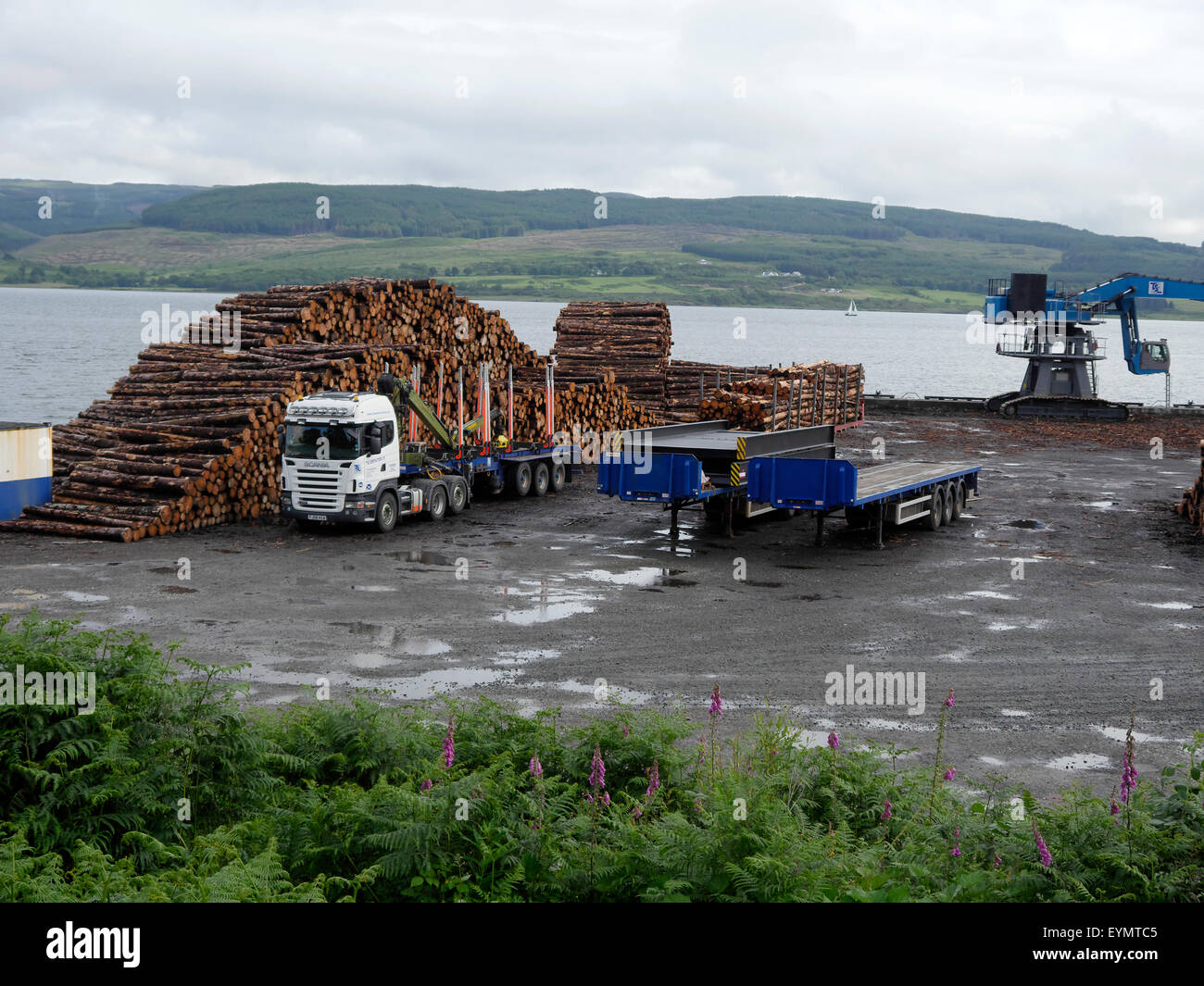 Timber at port, Isle of Mull, Scotland, July 2015 Stock Photo