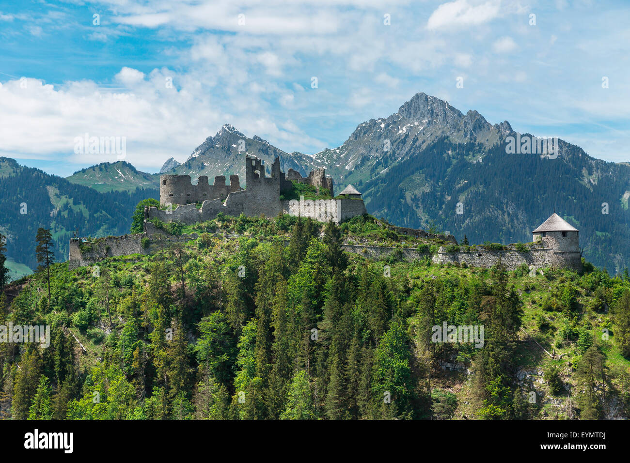 suspension bridge and castle ruins Ehrenberg Stock Photo