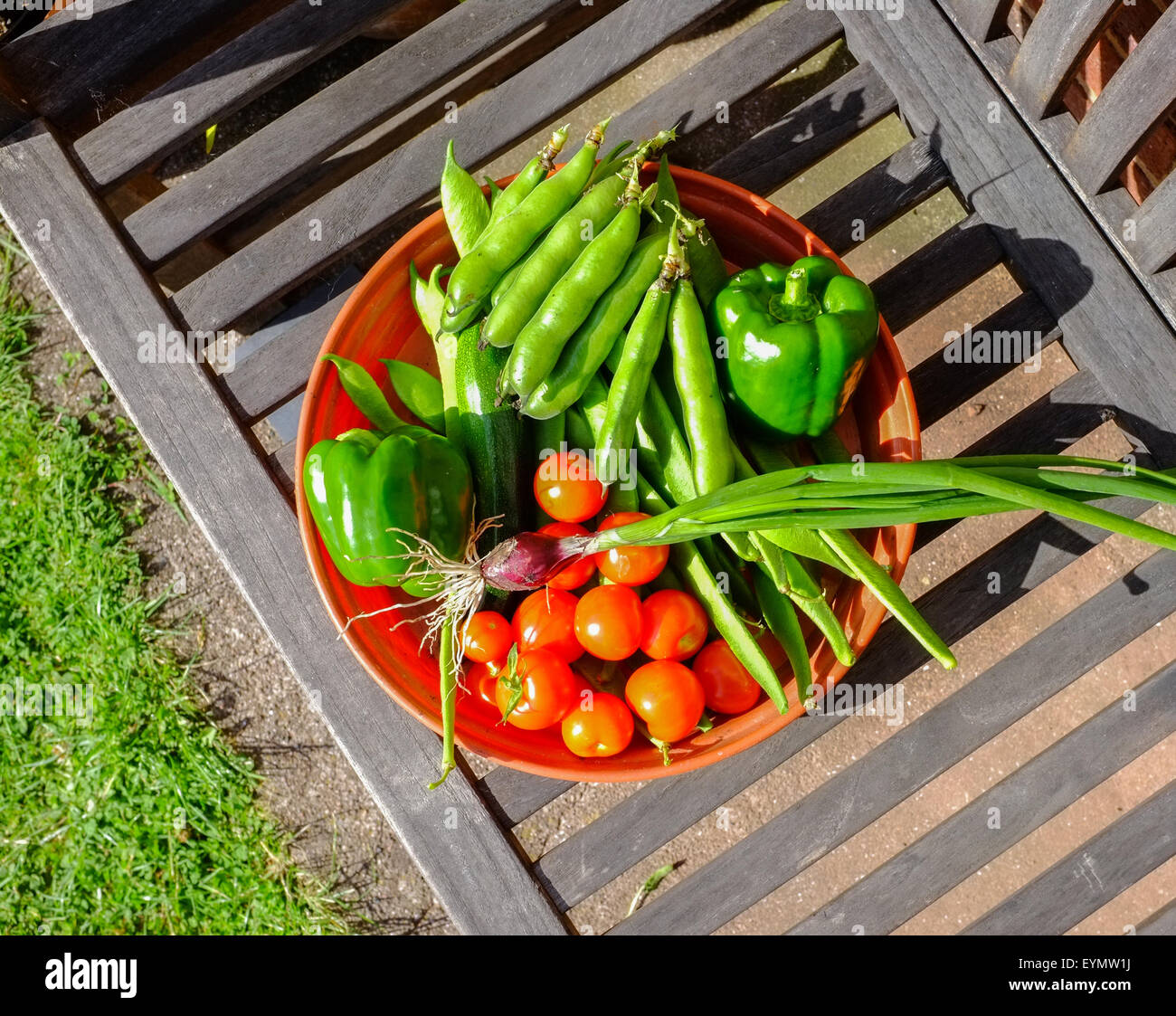 A bowl full of freshly picked fruit and vegetables on a garden seat. Stock Photo