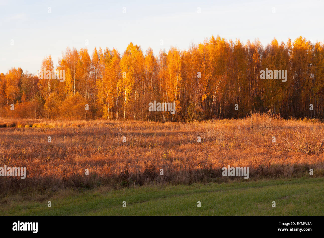 Nature landscape in autumn colors Stock Photo - Alamy
