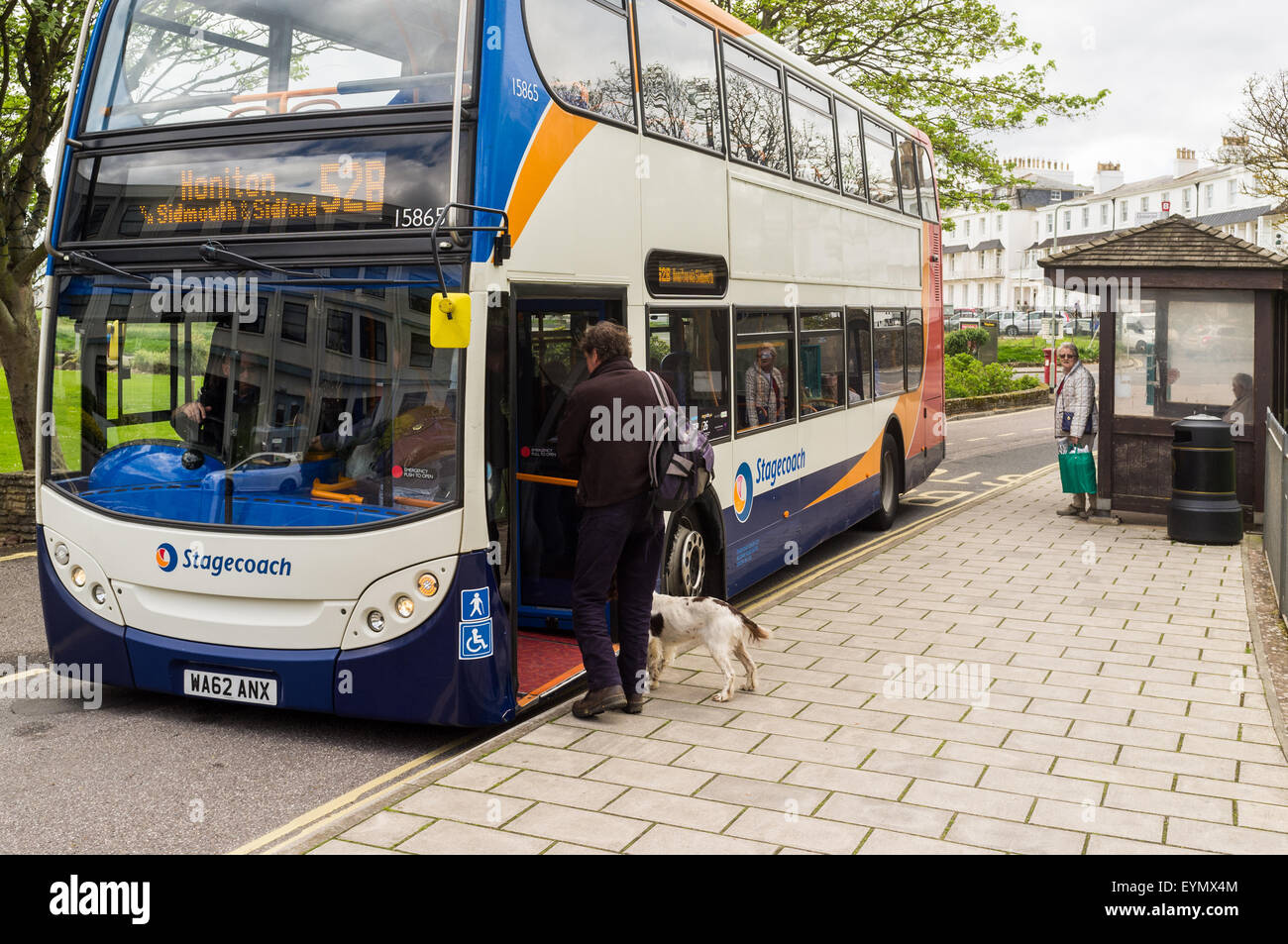 A man and his dog board a double decker bus at a Sidmouth bus stop. Stock Photo