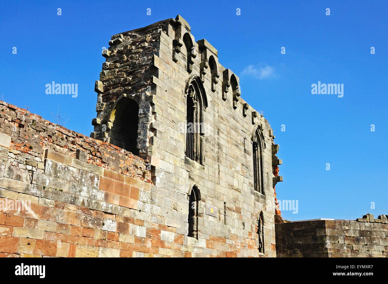 View of the Gothic Revival castle, Stafford, Staffordshire, England, UK, Western Europe. Stock Photo