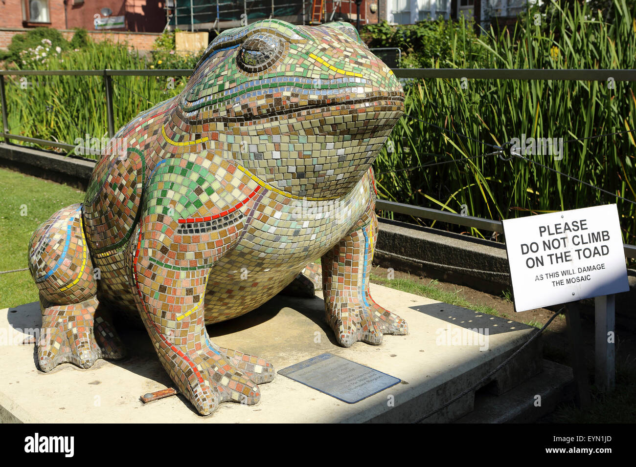 Toad statue in Hull, England. The toad is one of the 'Larkin with Toads