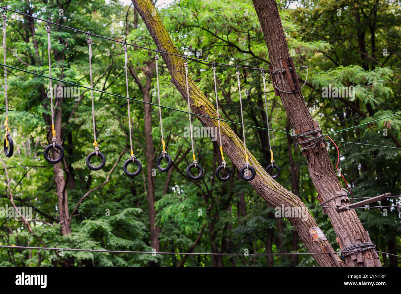 Adventure climbing high wire park, rope extreme park Stock Photo - Alamy