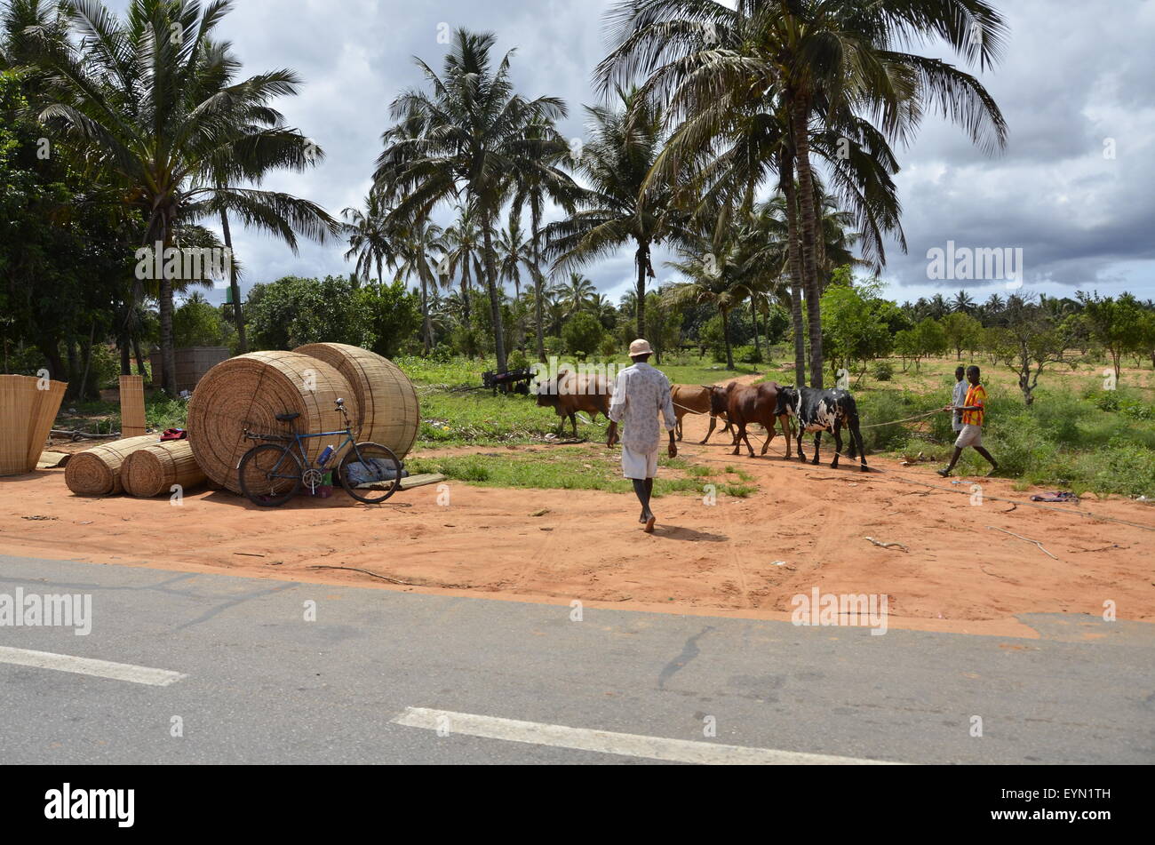 Roadside scenes of life on the main road between Inhambane and Maputo, Mozambique Stock Photo