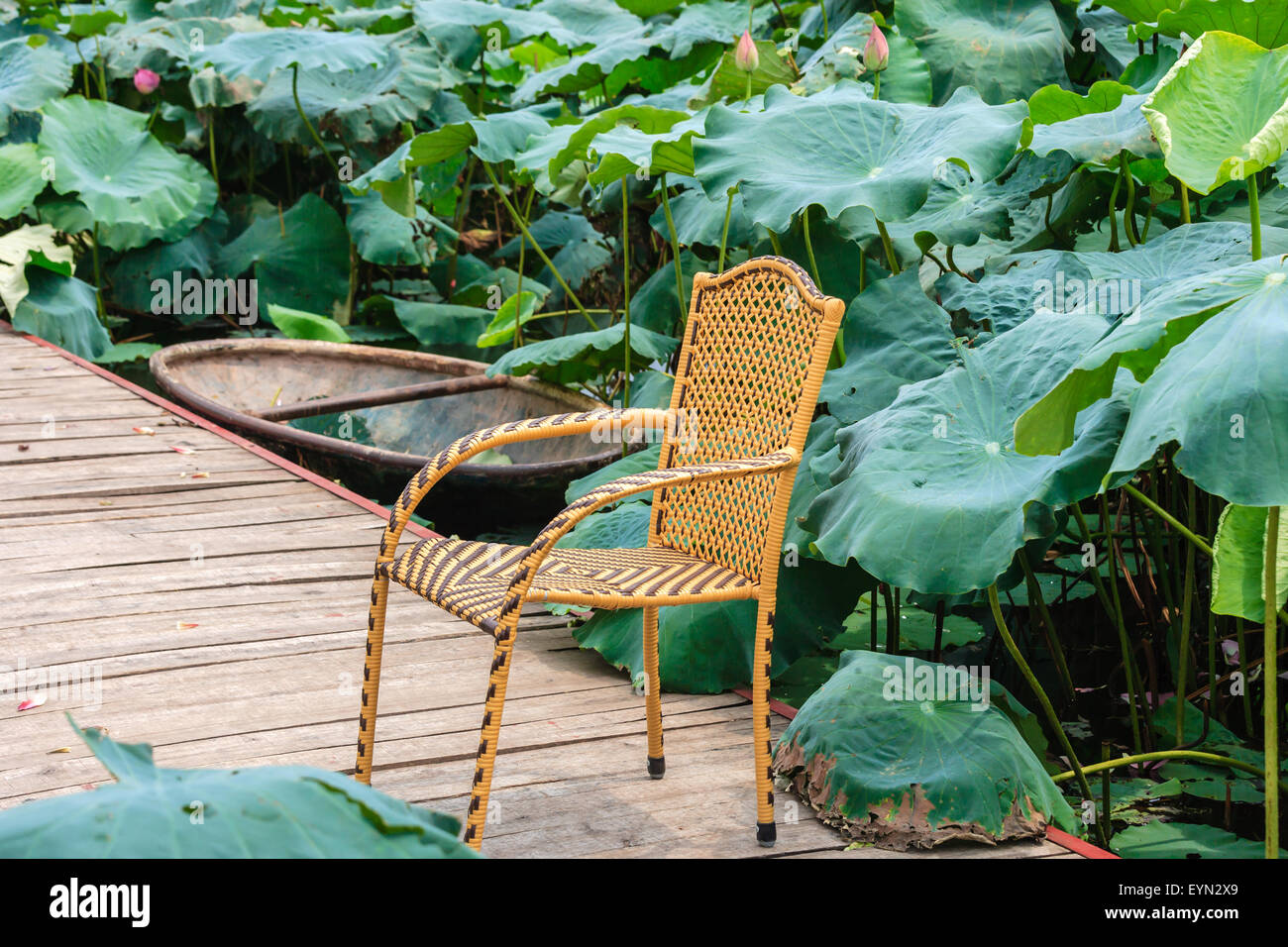 Bar garden near West lake in Hanoi, Vietnam on July 25, 2015 Stock Photo