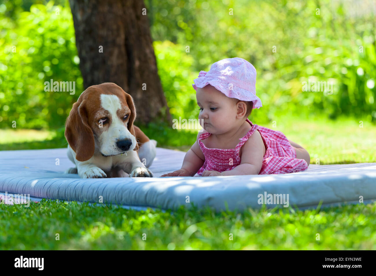 little girl plays with a dog in the garden Stock Photo - Alamy