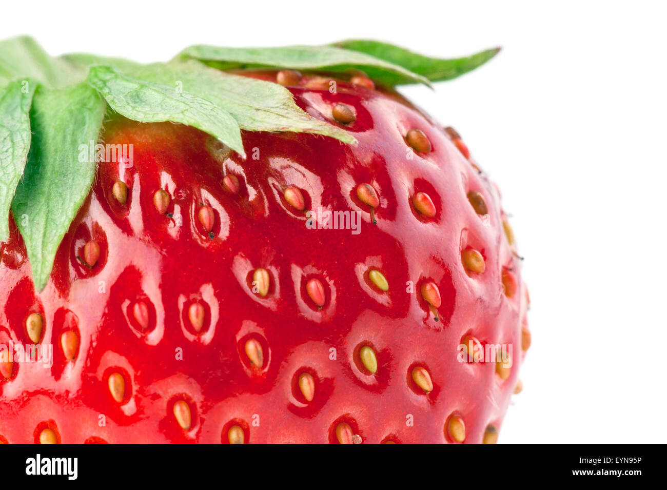 Strawberry closeup isolated on a white background Stock Photo - Alamy