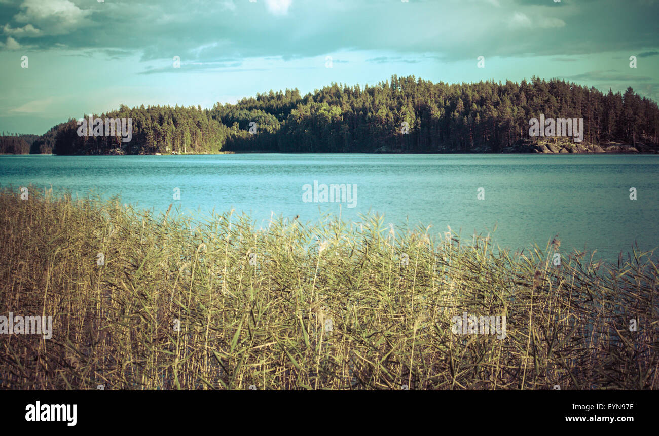 Vintage toned image of lake and forest, Finland Stock Photo