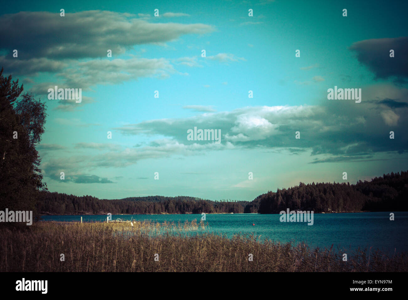 Vintage toned image of lake and forest, Finland Stock Photo