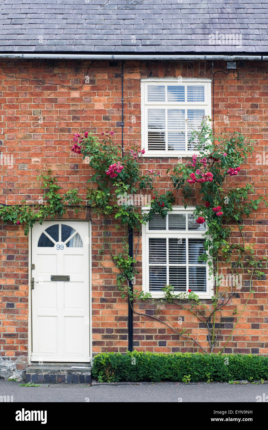 Red brick terraced cottage with roses around the door. Stock Photo