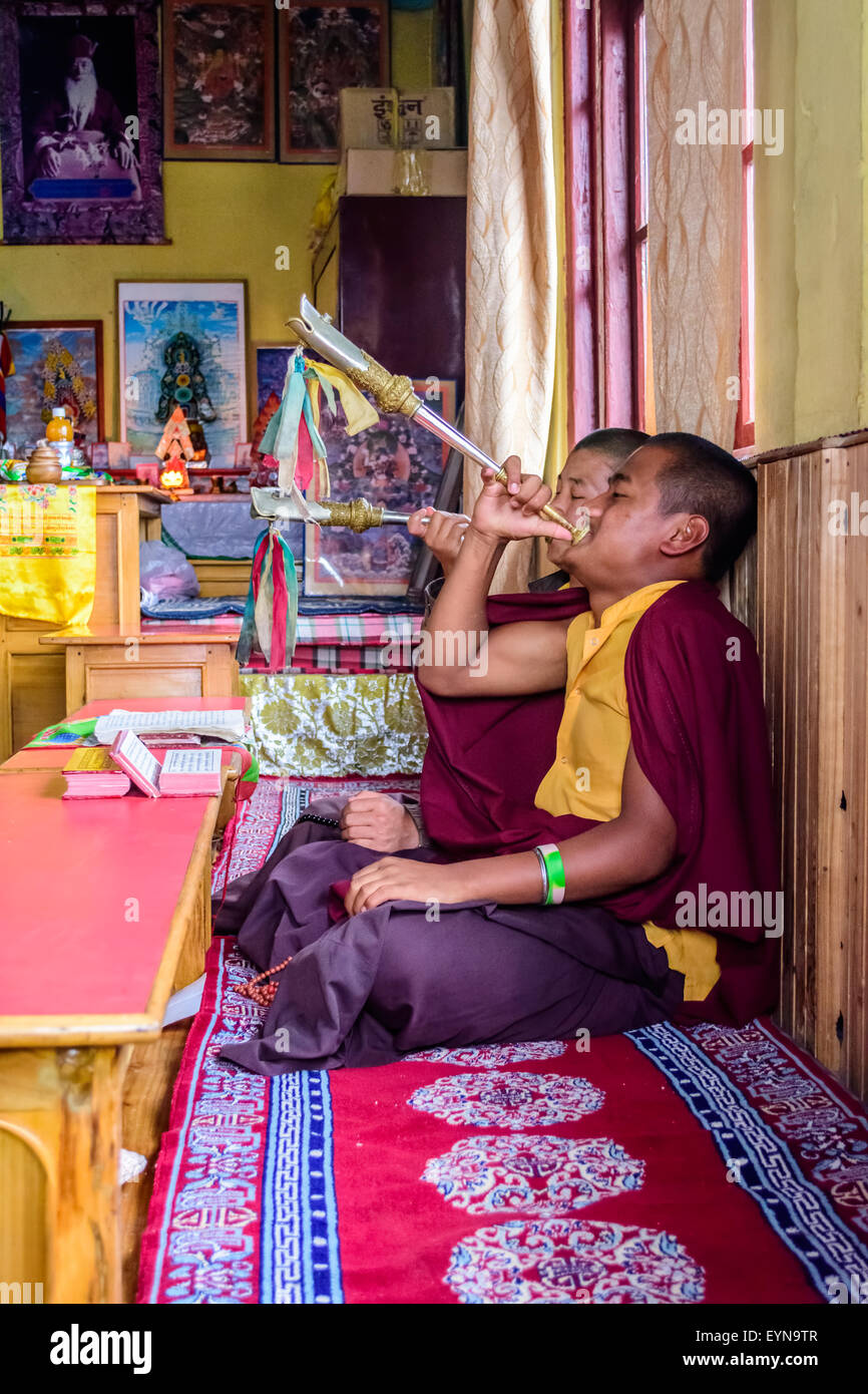 Buddhist priests, Lamas, praying inside a monastery in India, playing traditional flute with copy space Stock Photo