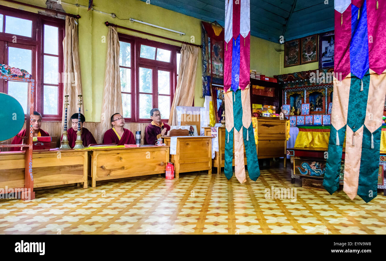 Buddhist priests, Lamas, praying inside a monastery in India, reading traditional scripture with copy space Stock Photo