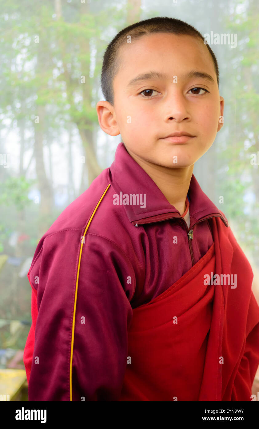 Portrait of a young Buddhist lama, monk with copy space Stock Photo