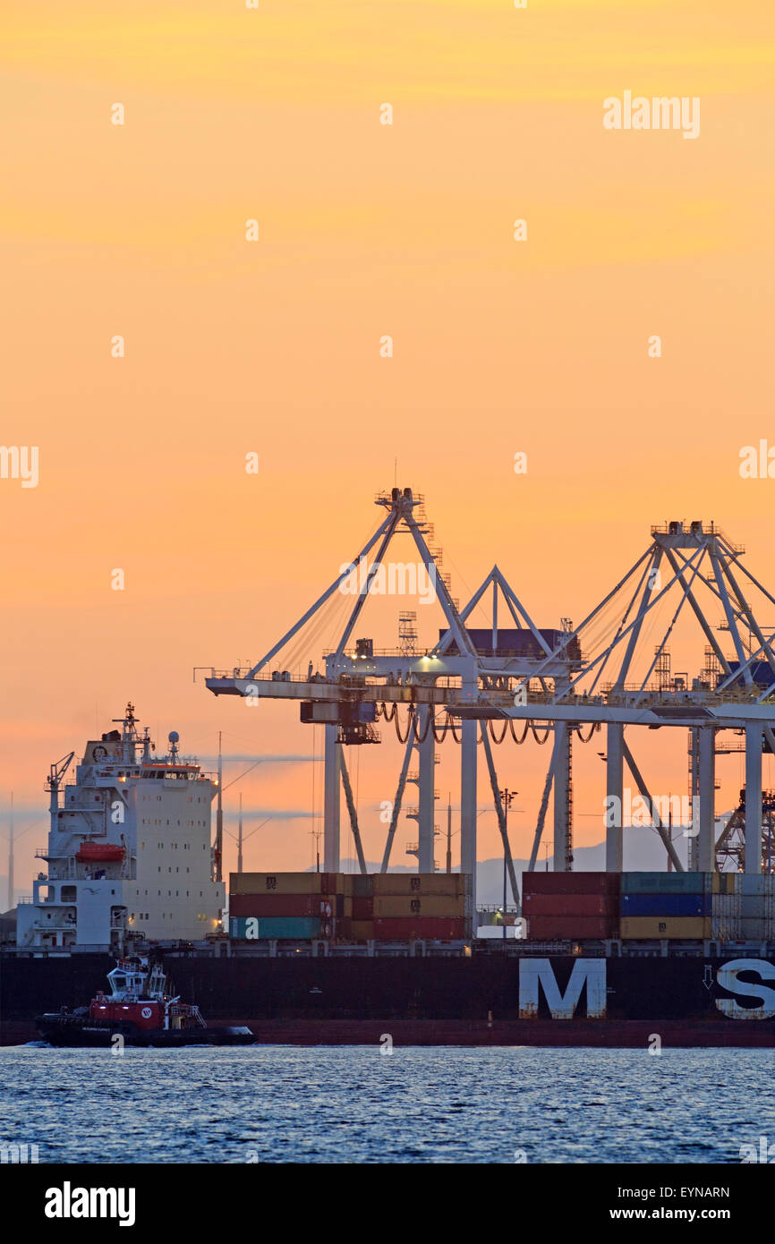 Container cranes atsunset, Deltaport container terminal, Roberts Bank ...