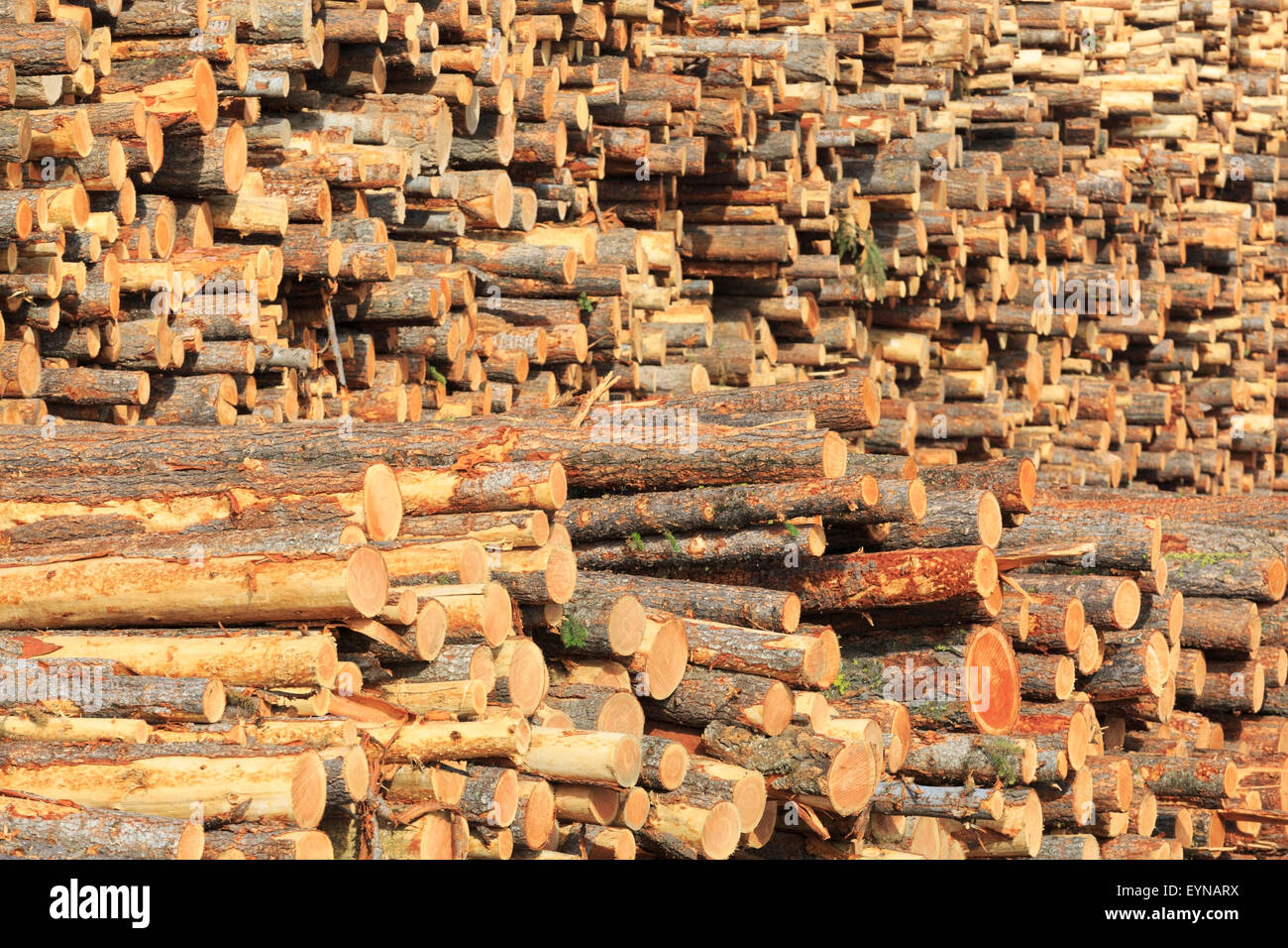 Logging industry canada logs hires stock photography and images Alamy