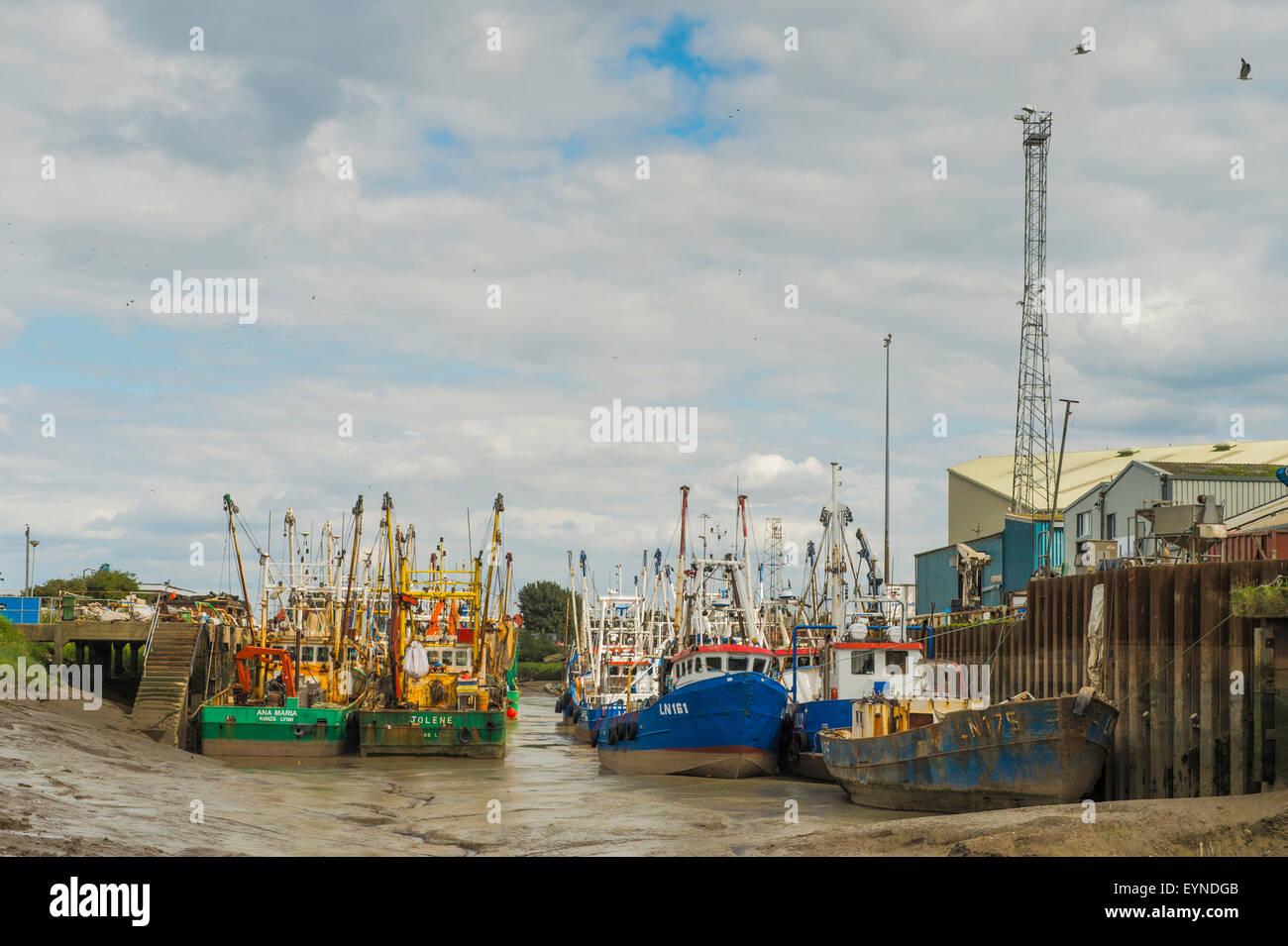 Fishing Fleet at Kings Lynn Stock Photo Alamy