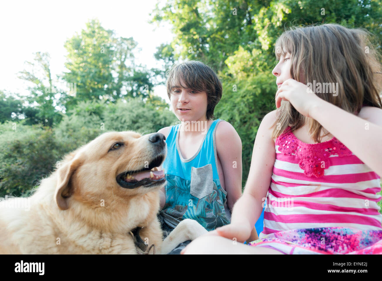 A brother and sister spend some quality time with the family dog. Stock Photo