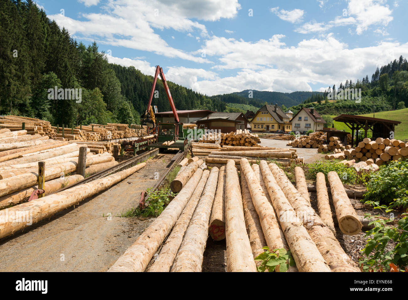 Schmid wood planing and sawing works, in Bad Rippoidsau-Schapbach in ...