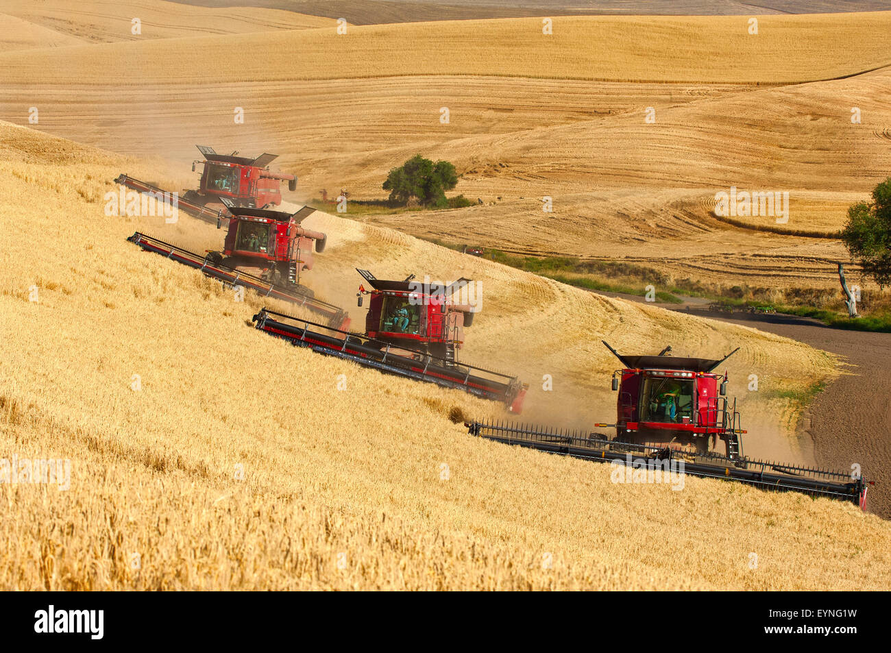 Palouse Farming Region