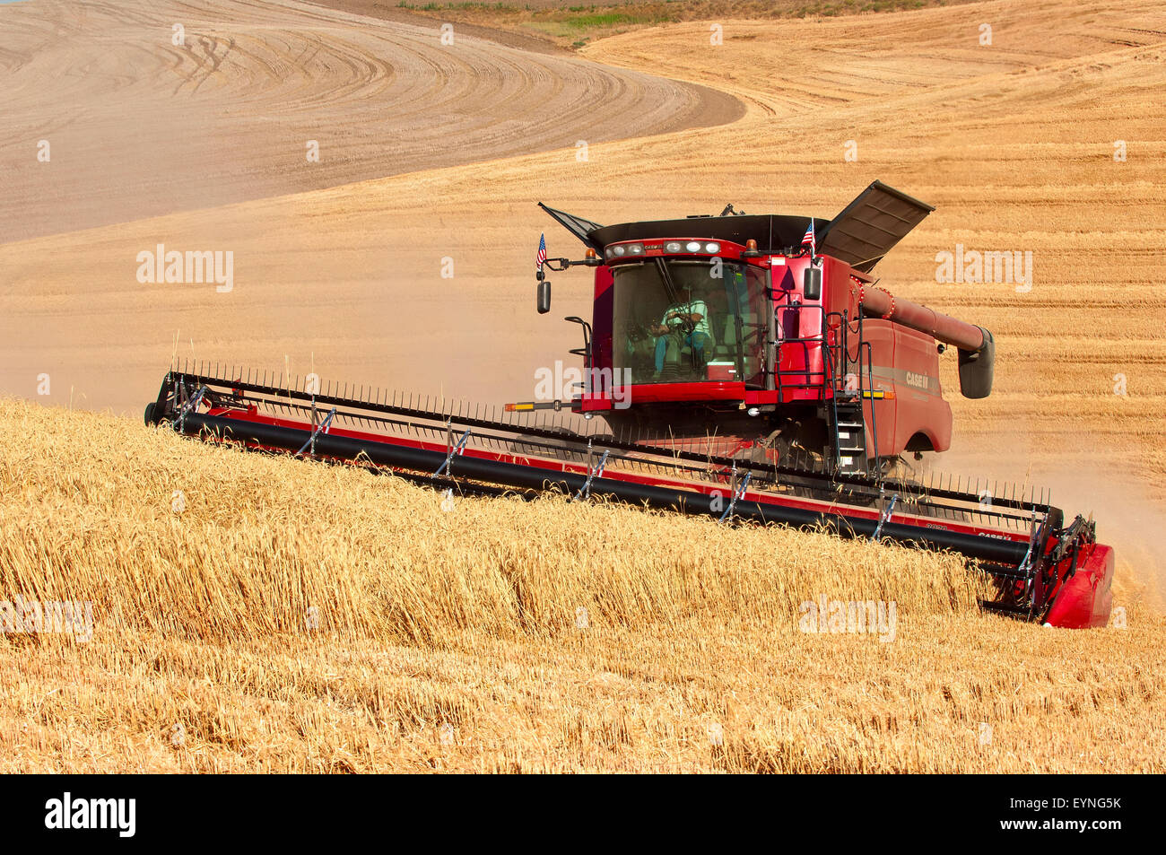 A Case combine harvests grain in the Palouse region of Washington Stock ...