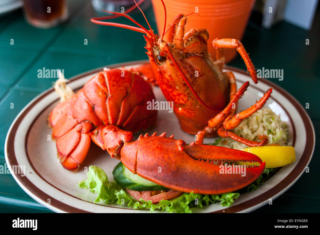 lobster,seafood,homard,Homarus americanus,homard canadien,true lobster, northern lobster,american lobster Stock Photo