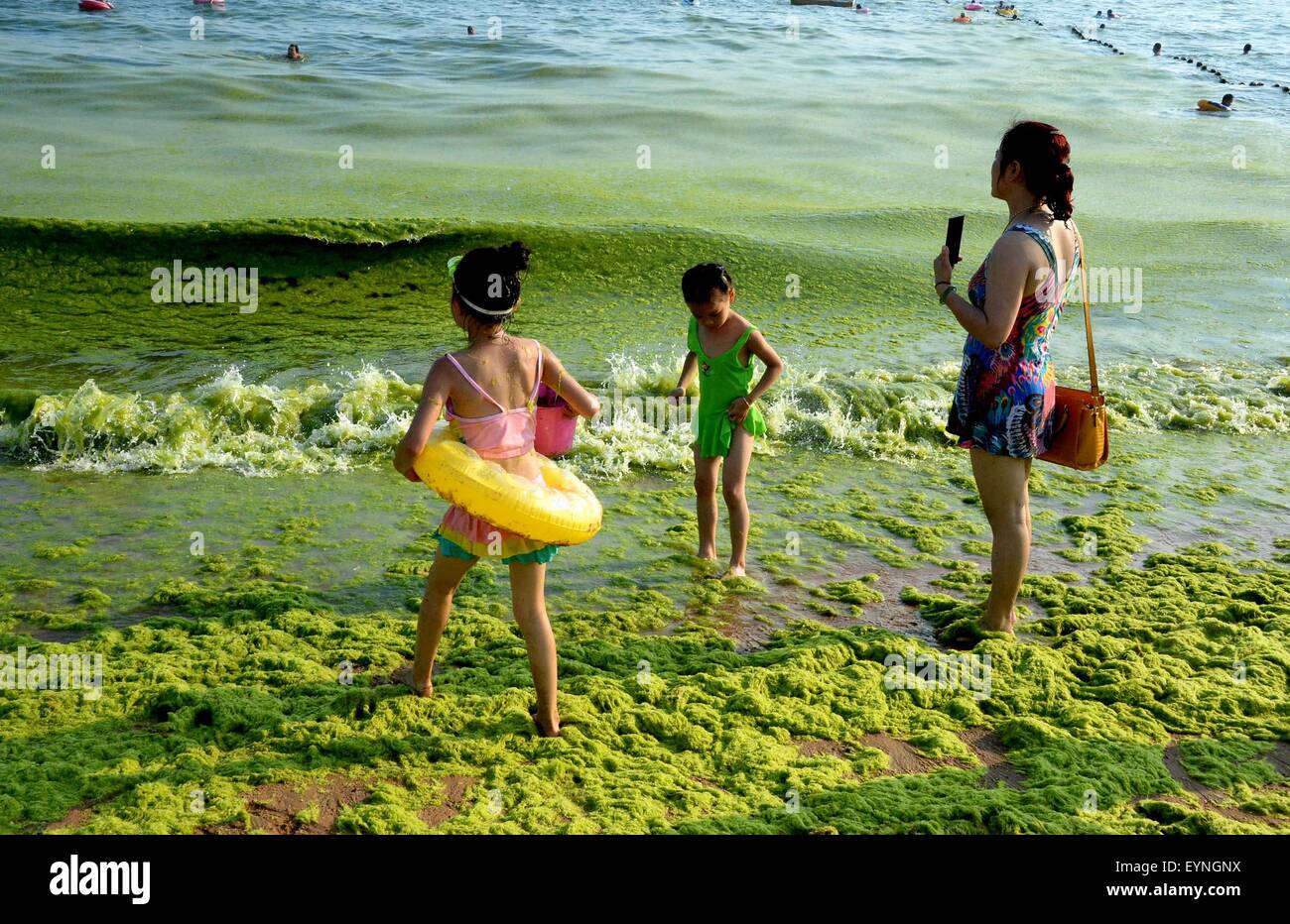 Qingdao, China's Shandong Province. 30th July, 2015. People stand on a bathing beach overrun with green algae, or enteromorpha prolifera, in Qingdao, east China's Shandong Province, July 30, 2015. © Feng Jie/Xinhua/Alamy Live News Stock Photo