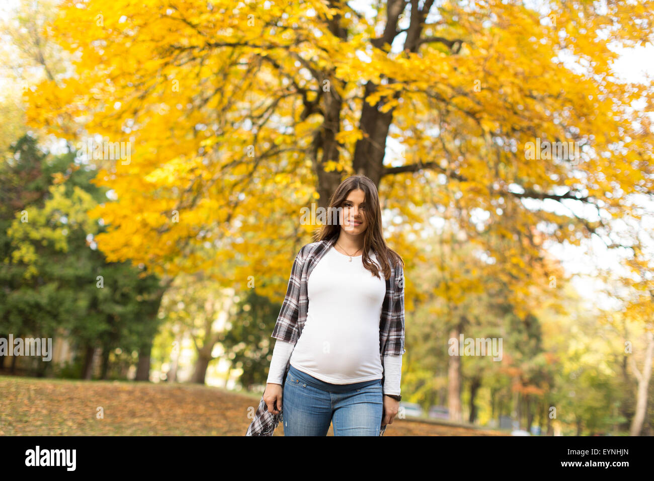 Young pregnant woman in the autumn park Stock Photo - Alamy