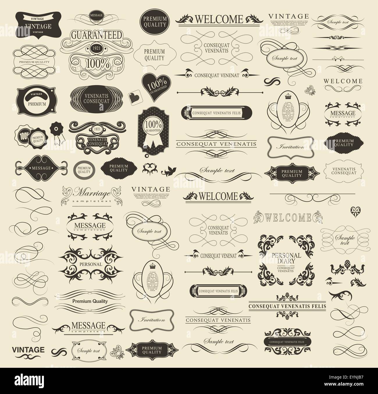 Set of calligraphic elements for design Stock Vector Image & Art - Alamy