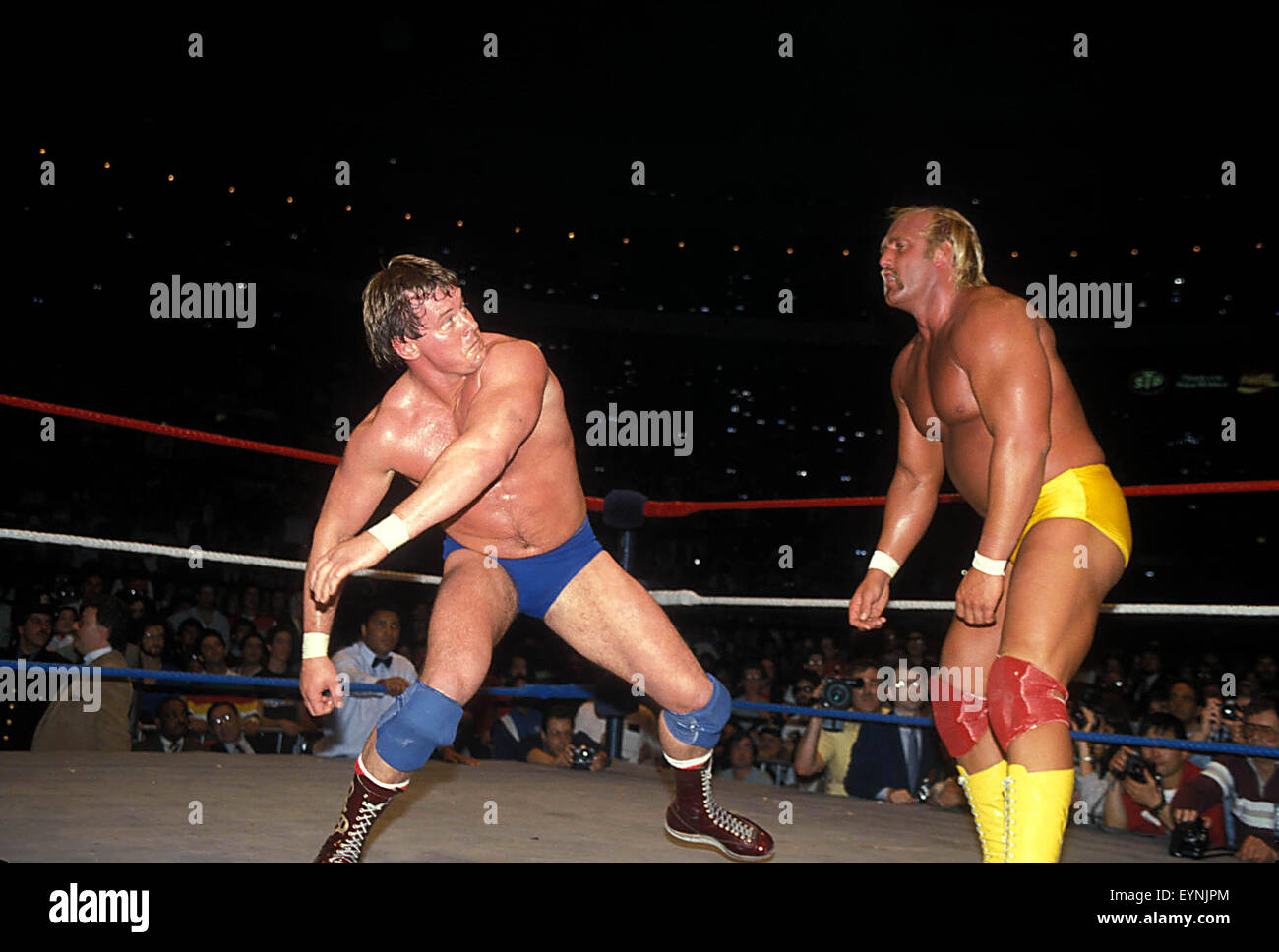 World wrestling federation hi-res stock photography and images - Alamy