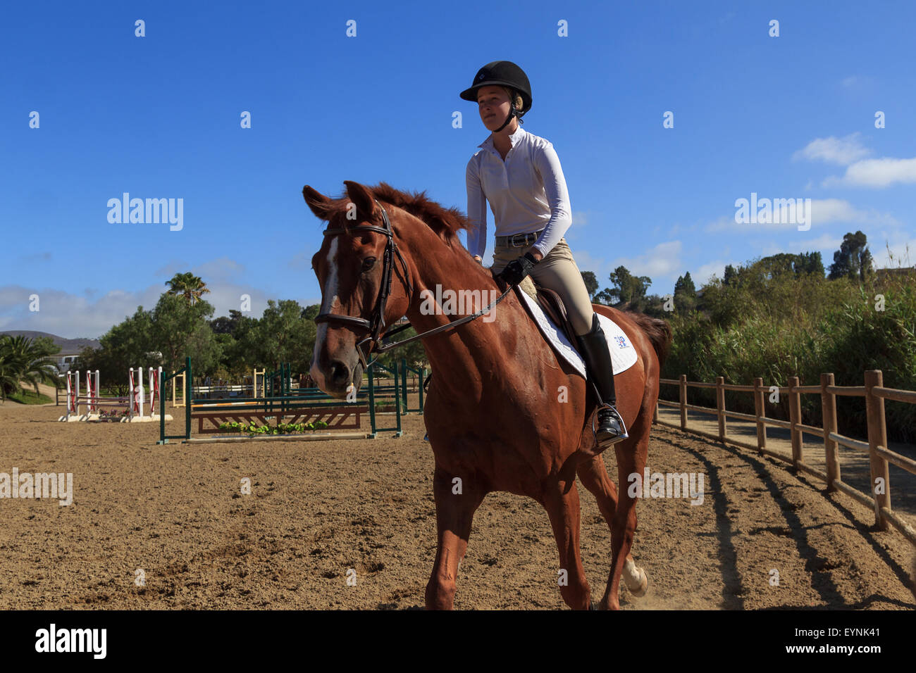 Editorial use only San Juan Capistrano, California July 26, 2015