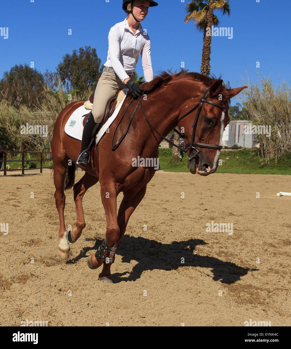 Editorial use only San Juan Capistrano, California July 26, 2015