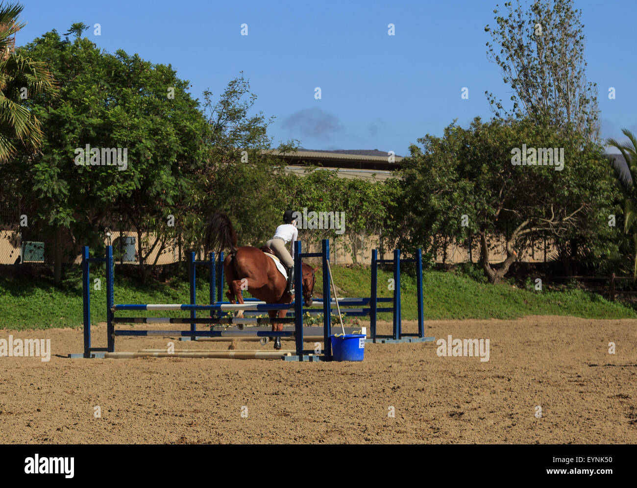 Editorial use only San Juan Capistrano, California July 26, 2015 Young girl in horse jumping