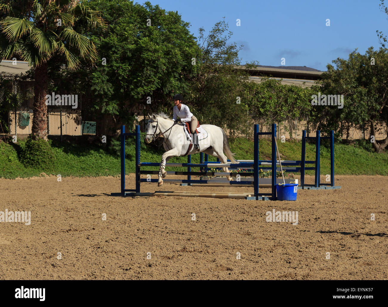 Editorial use only San Juan Capistrano, California July 26, 2015