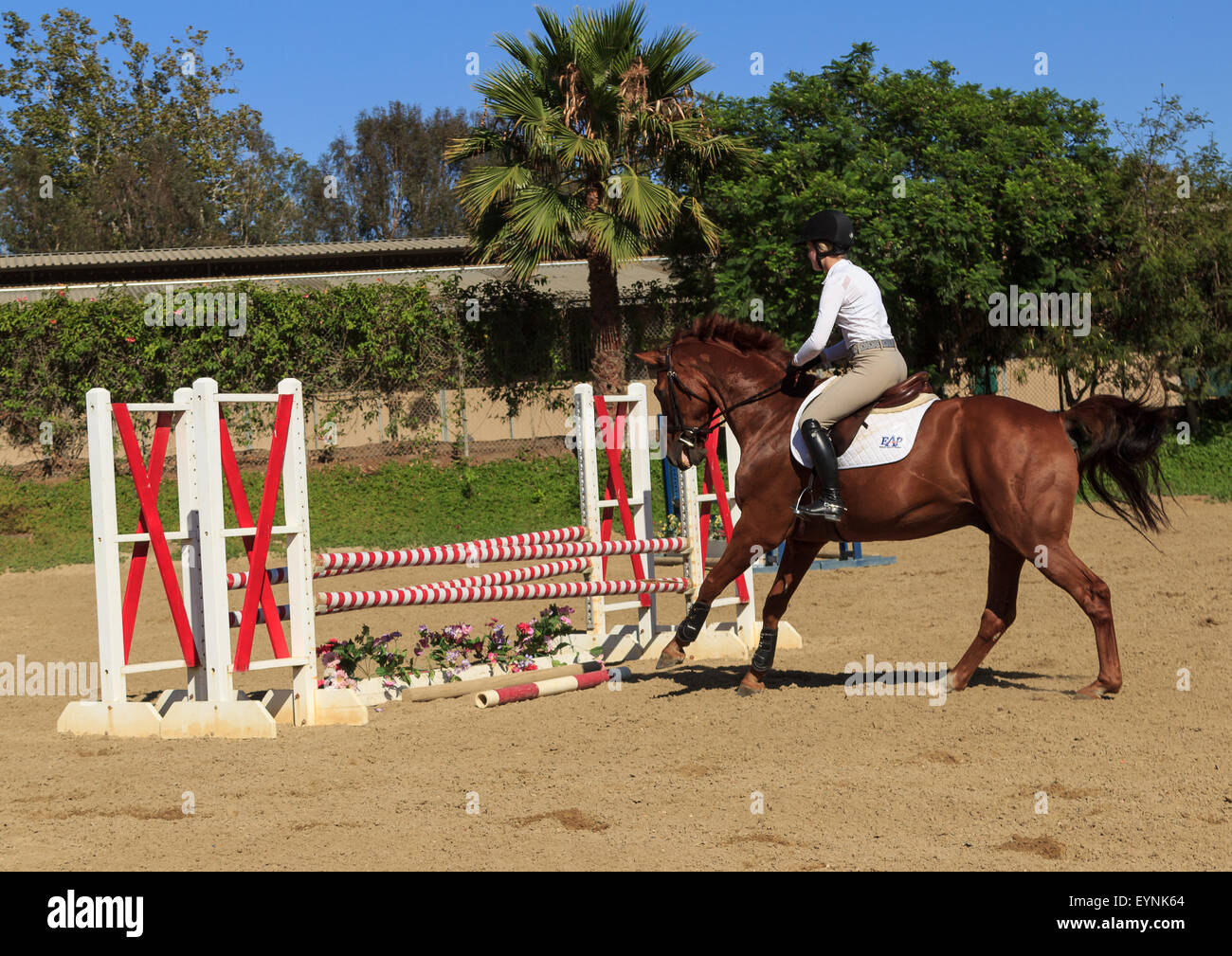 Editorial use only San Juan Capistrano, California July 26, 2015