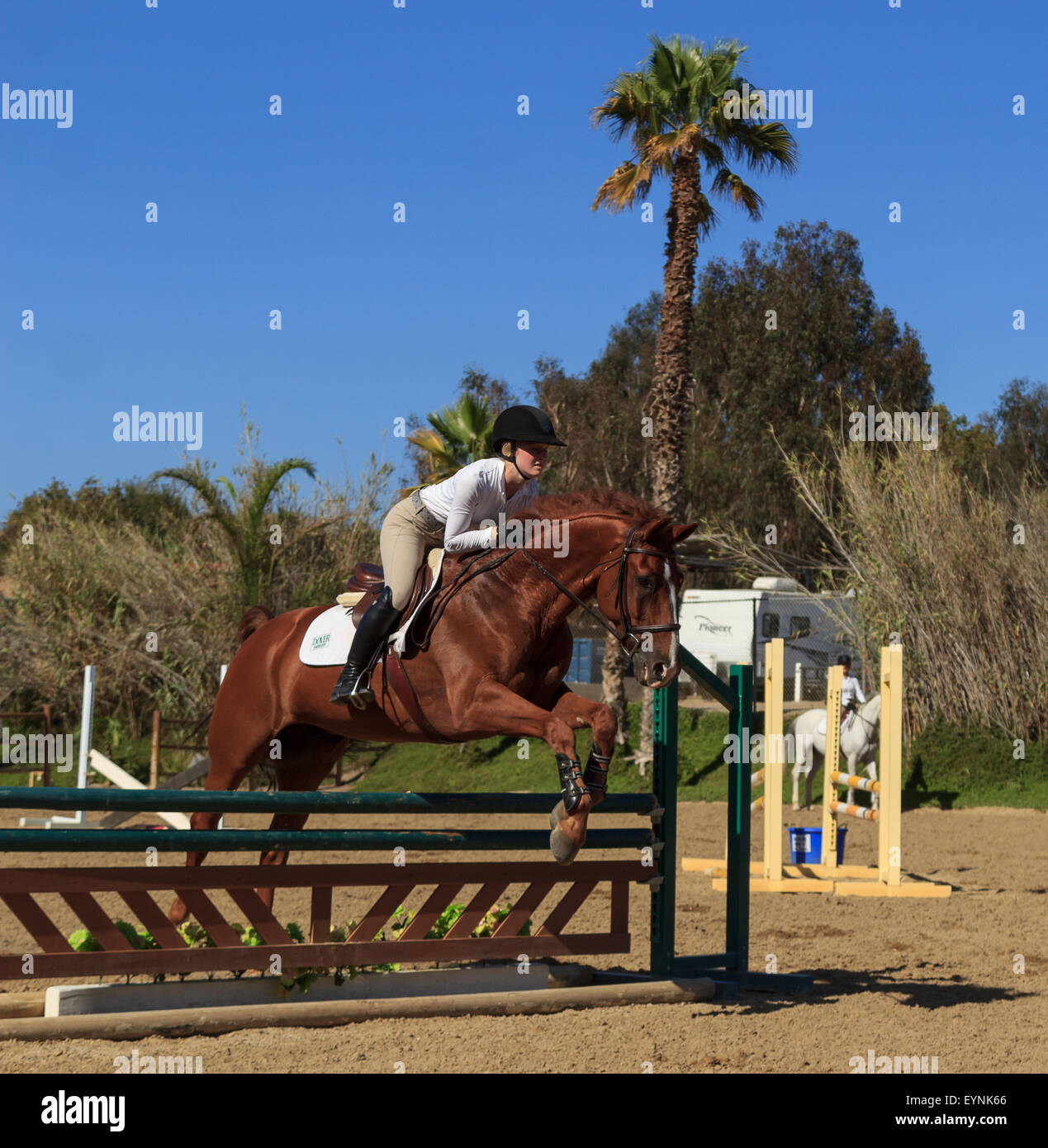 Editorial use only San Juan Capistrano, California July 26, 2015